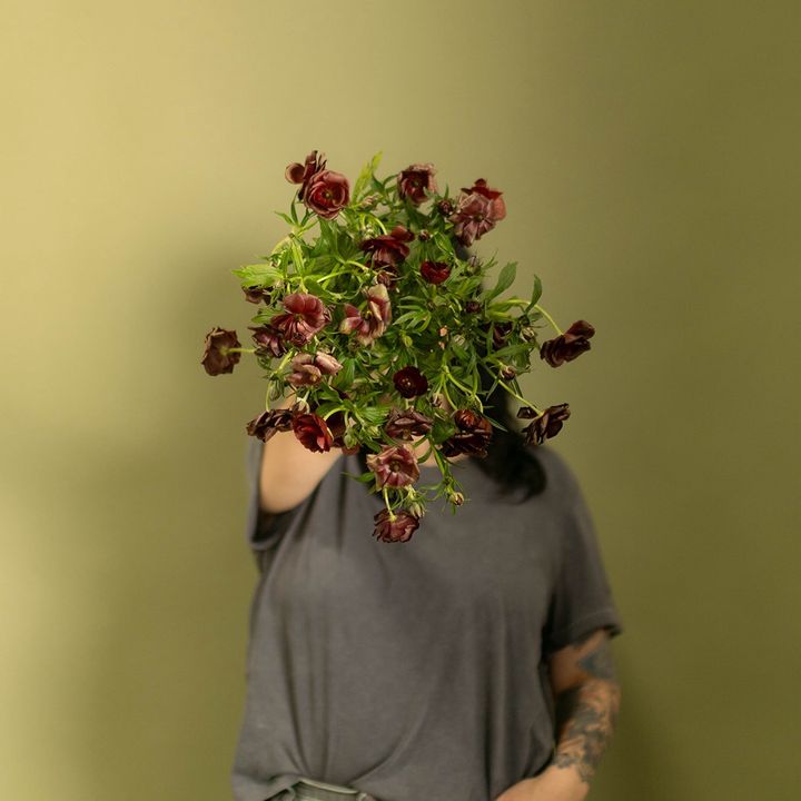 Jules // Florist Life