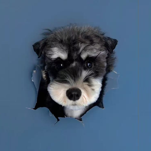 Pet Posh Co