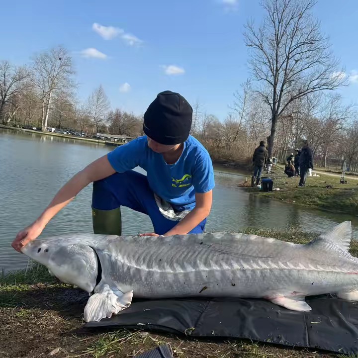 _TOMMY_e_LORY_sturgeon