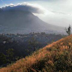 Alejandro Torres Puga