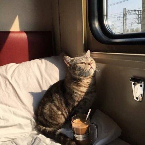 Э̸с̸т̸е̸т̸и̸к̸а̸✨