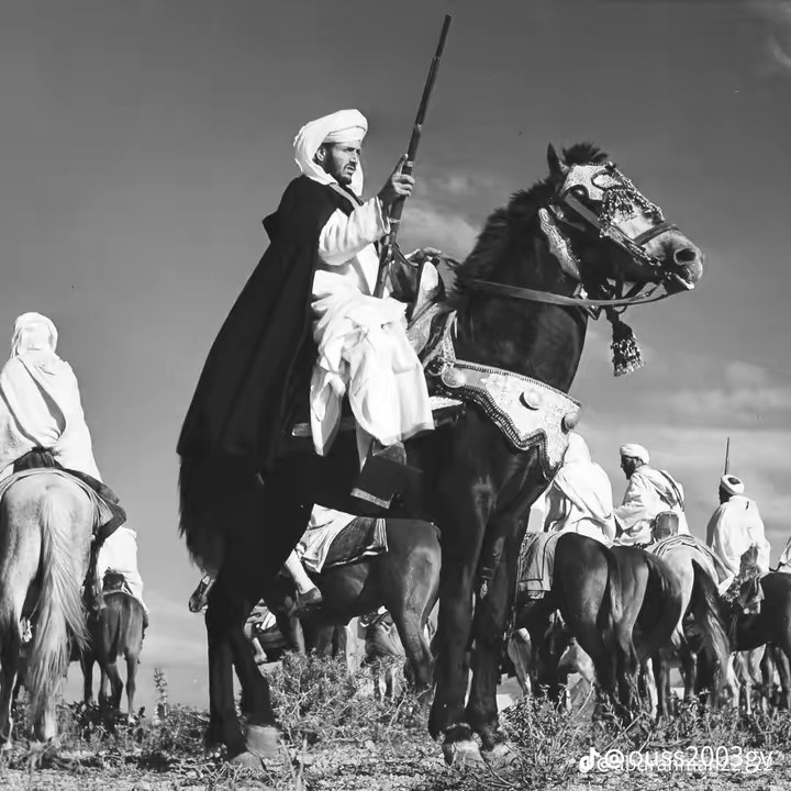 𝕸𝖆𝖗𝖔𝖈𝖆𝖎𝖓_𝕮𝖍𝖊𝖑𝖍۞