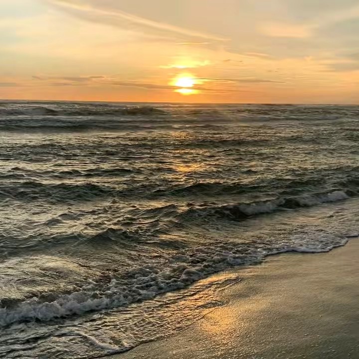 รีวิวไปมั่ว