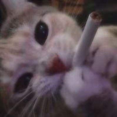 Highcat