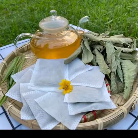 Thaoduocthiennhien77