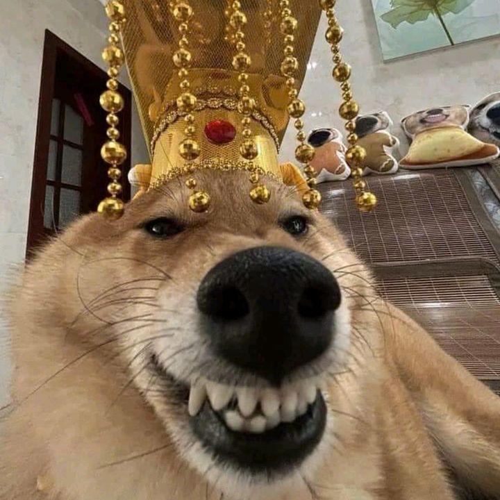 Đăng Việt              ⚽