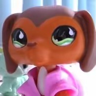 aisha