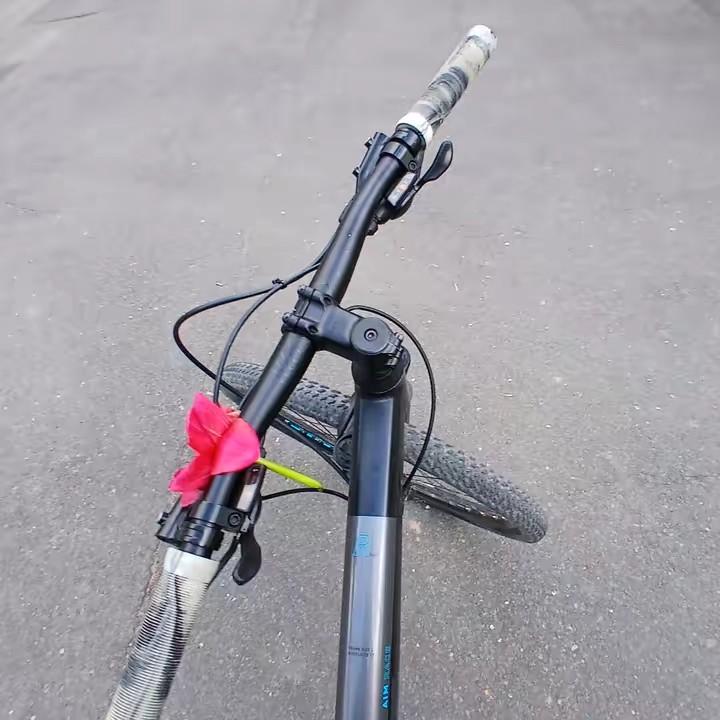 ~𝐬𝐨𝐩𝐡𝐢𝐞🇩🇪🦅