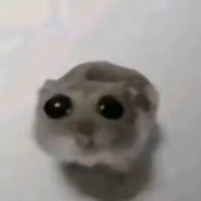 ไม่ระบุตัวตน🤨