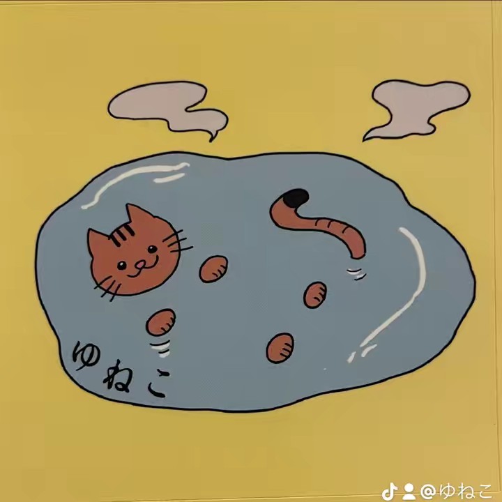 ぎん♨️🐈【弾き語りユニットゆねこ】