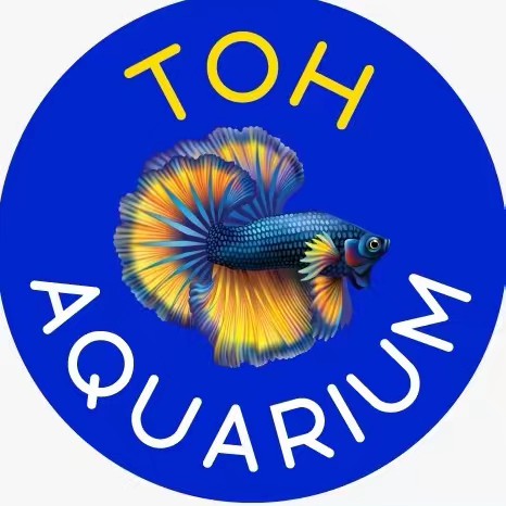 Toh Aquarium