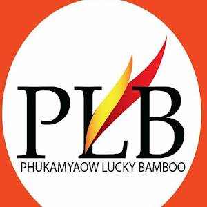 ไผ่กวนอิม By PLB Thailand