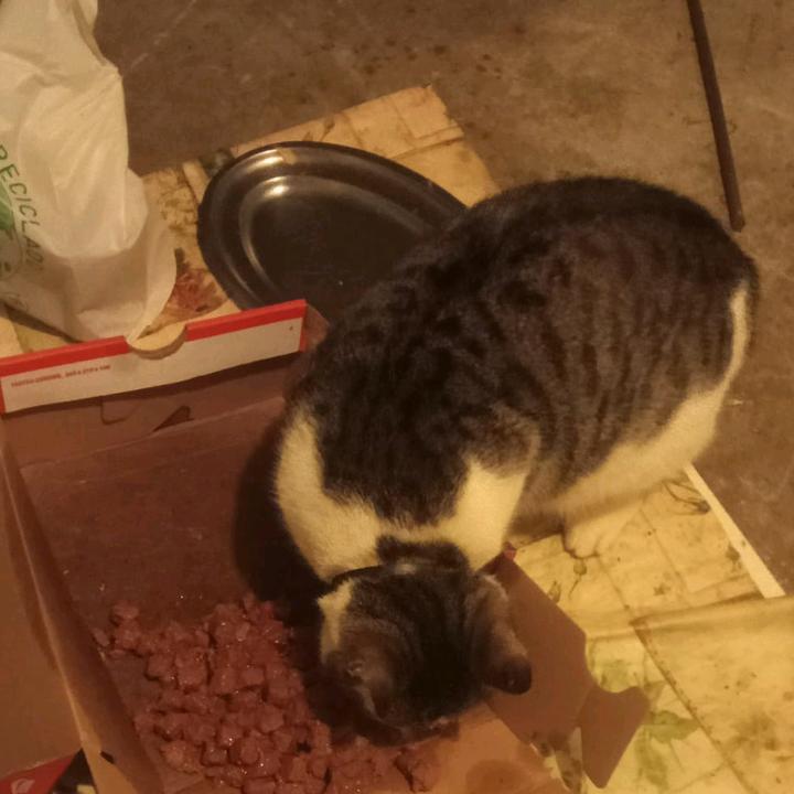 Rosa yo misma♥️🩷83