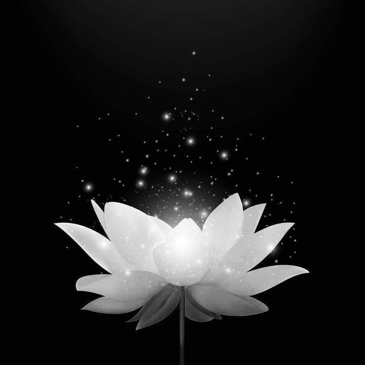 TwPxSóiTT666 🇻🇳🇹🇼