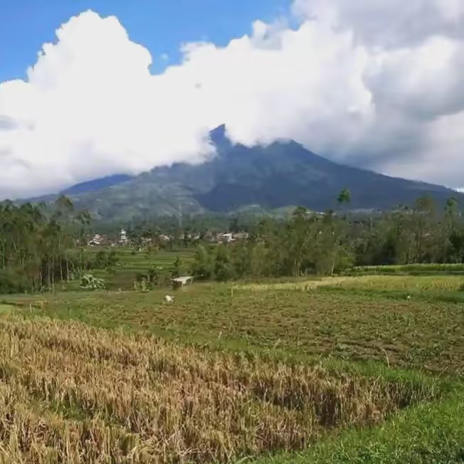 Lukmannul Hakim.0361