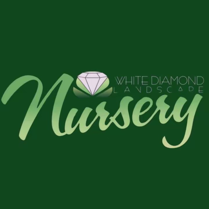 White Diamond Landscape