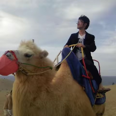 あごせん〜テストと受験を詳しく強くする人