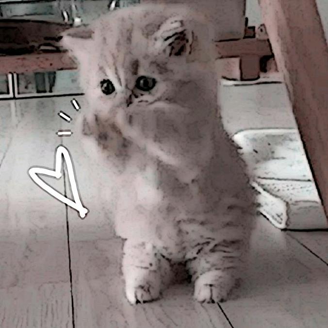 ✧༺𝙺𝚑𝚊𝚛𝚝𝚒𝚔𝚠𝚊𝚗𝚍𝚊༻✧