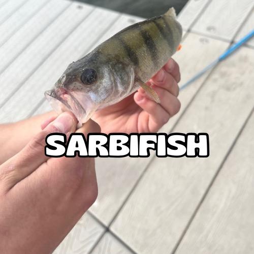 Wędkarstwo na Zawsze