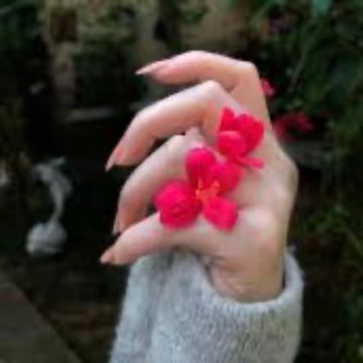 ورد عبدالعزيز