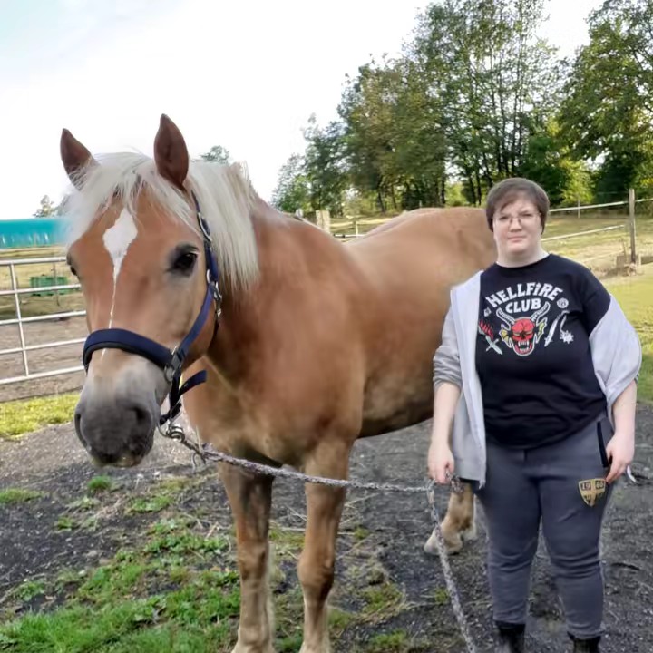 Will| WillKommenQueer🏳️‍🌈