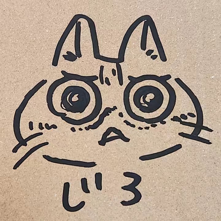 🐾ぽんぽん🐾