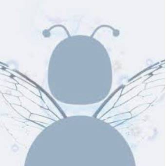 fairy’s actually exist