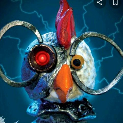 robot chicken daily