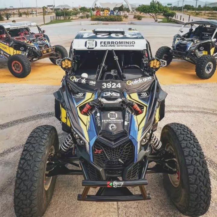 Ferrominio Racing Division