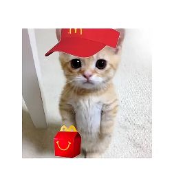 𝑲𝒆𝒏𝒏𝒆𝒕𝒉 🪐