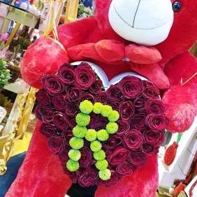 صاحب الظل الطويل