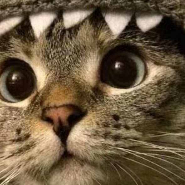 ธีแพรว shop