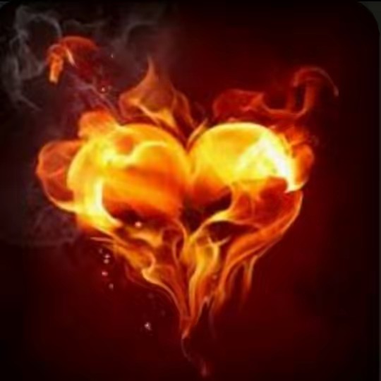 1.FC Köln Team Burning Heart