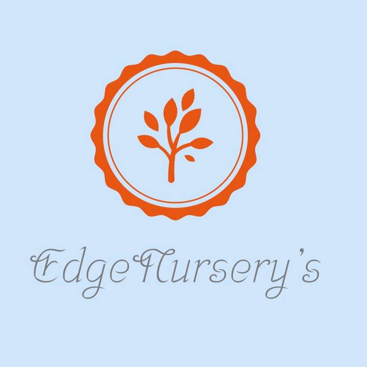 Edge nursery’s