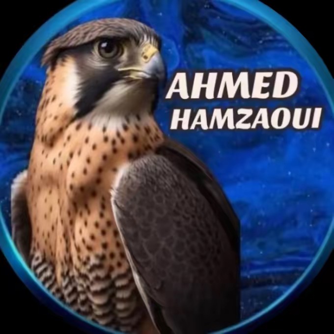 Ahme.hamzaoul