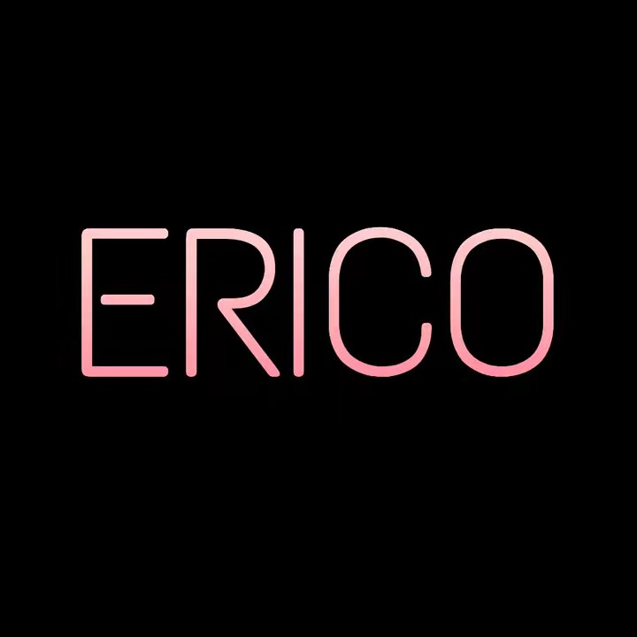 Erico Official Store