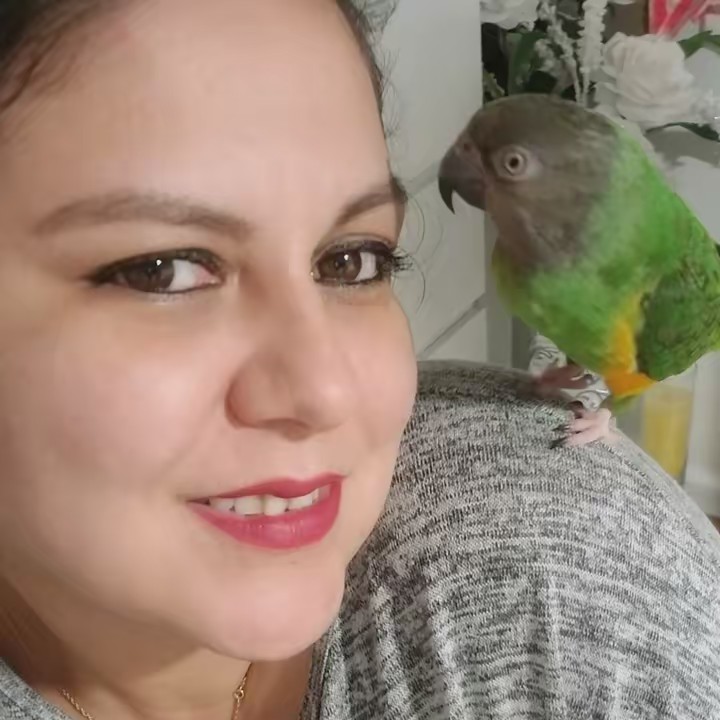 meyli ❤️‍🔥❤️‍🩹