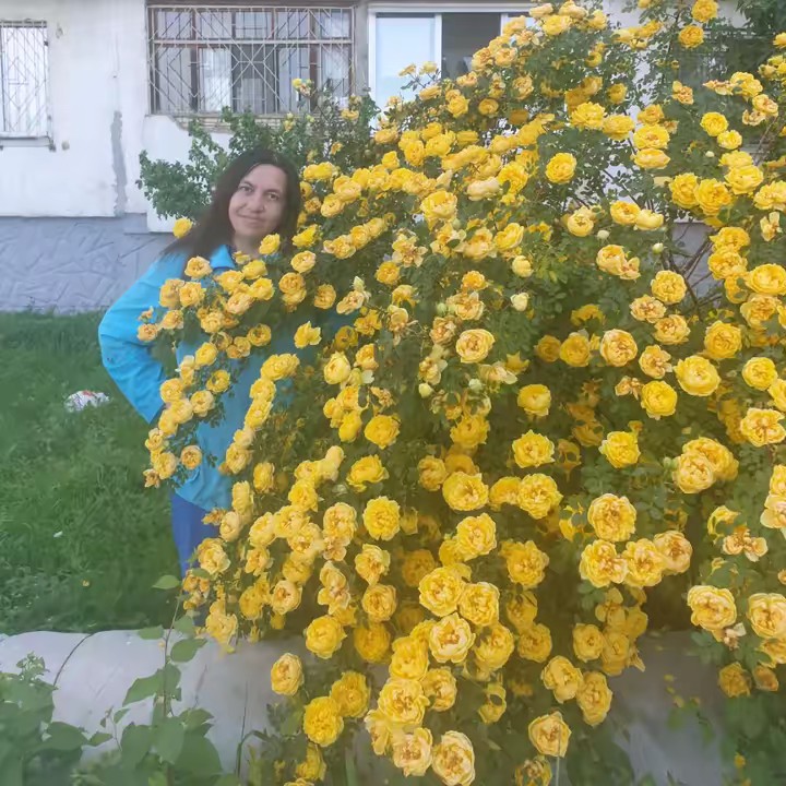 Ольга 🍧🍨🥧🧁🍰🍫