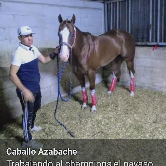 Rubén Morales Morales cabaza27