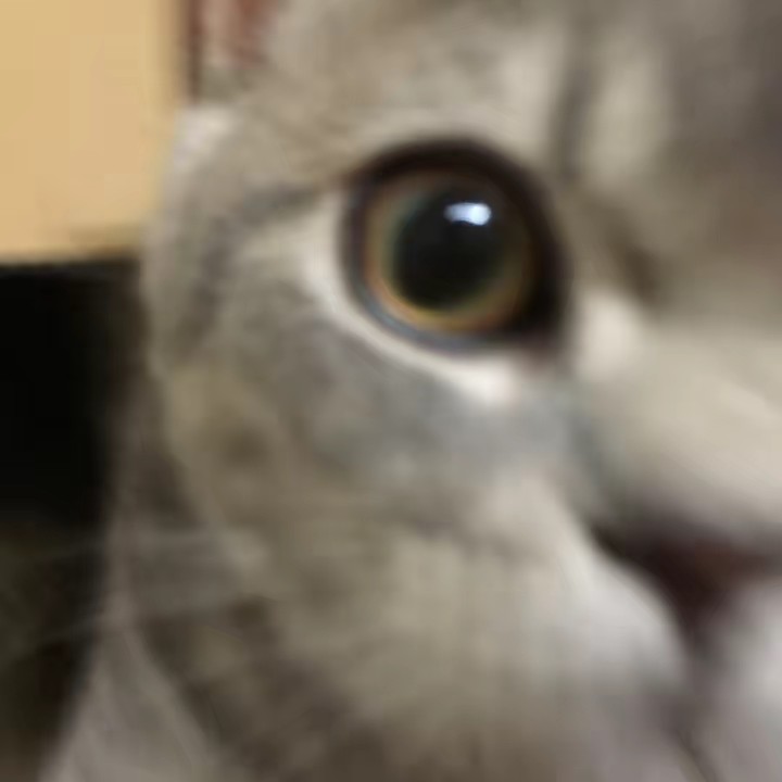 ゲームユーザー とろろ TKG