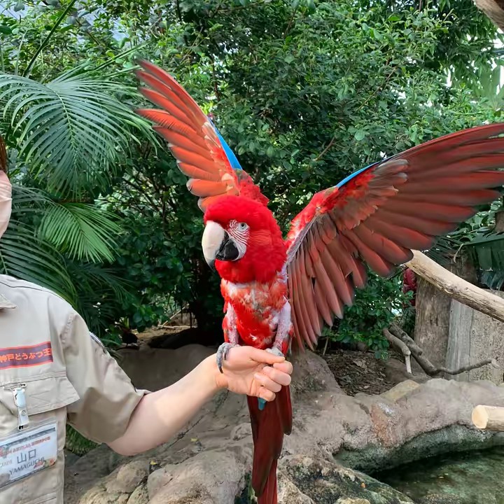 rui🌙🐼🐾🐱🎮🦥♊️👯🍚🍉🧸🥚