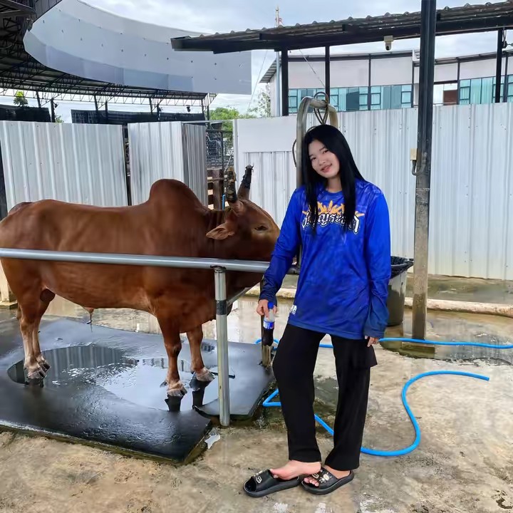 ออเร้นท์แปลว่าส้ม