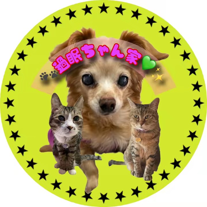 🐾過眠ちゃん💚✨