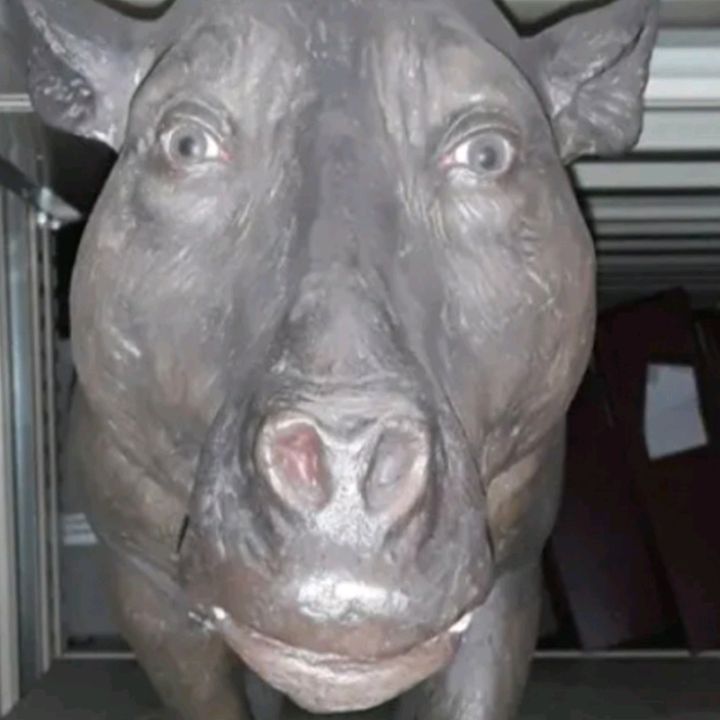 расхититель помоек