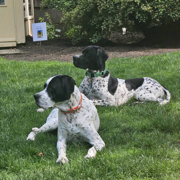 Enchantedfairyhome.etsy.com