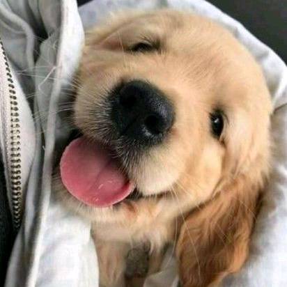 ☆°•Maria•°☆