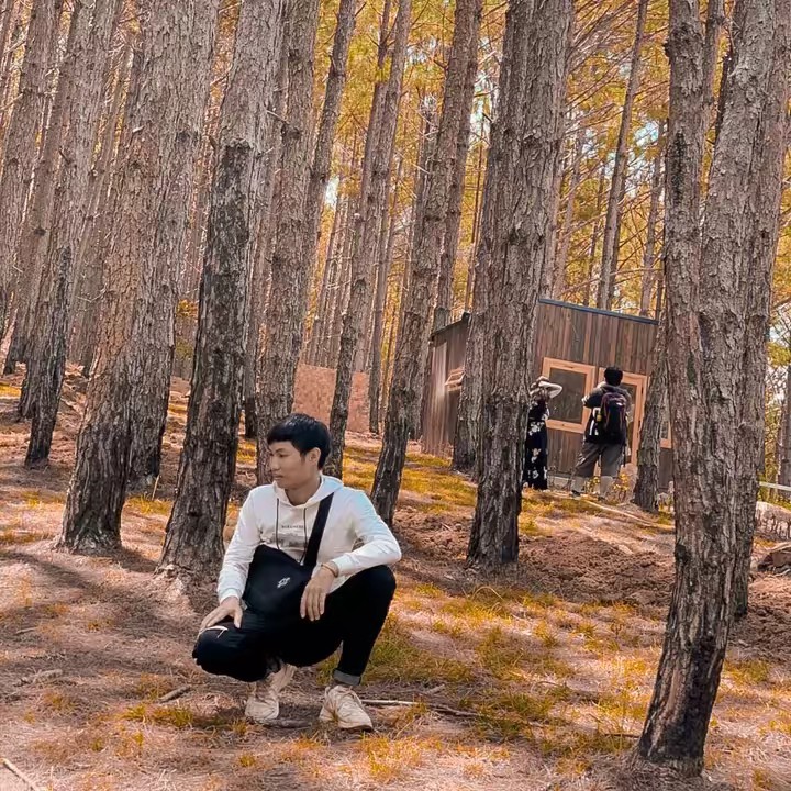 Xuân Đại73🇻🇳12🇯🇵