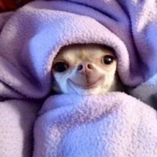 𝓜𝐈𝐑𝐀𝐈🏀🤯🌴🌺✈