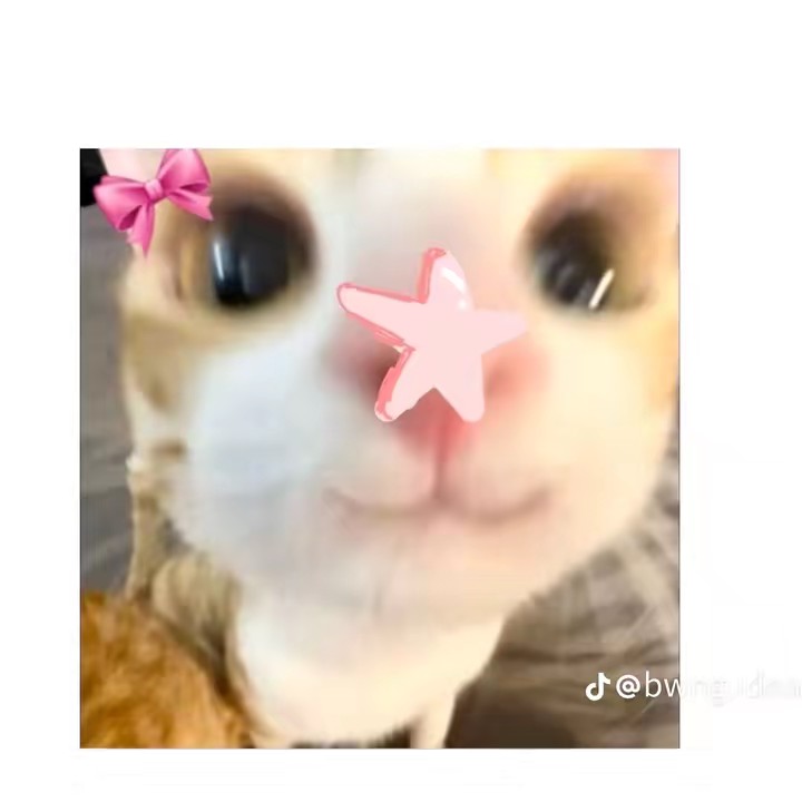 Điên lắm rồi đấy 😵