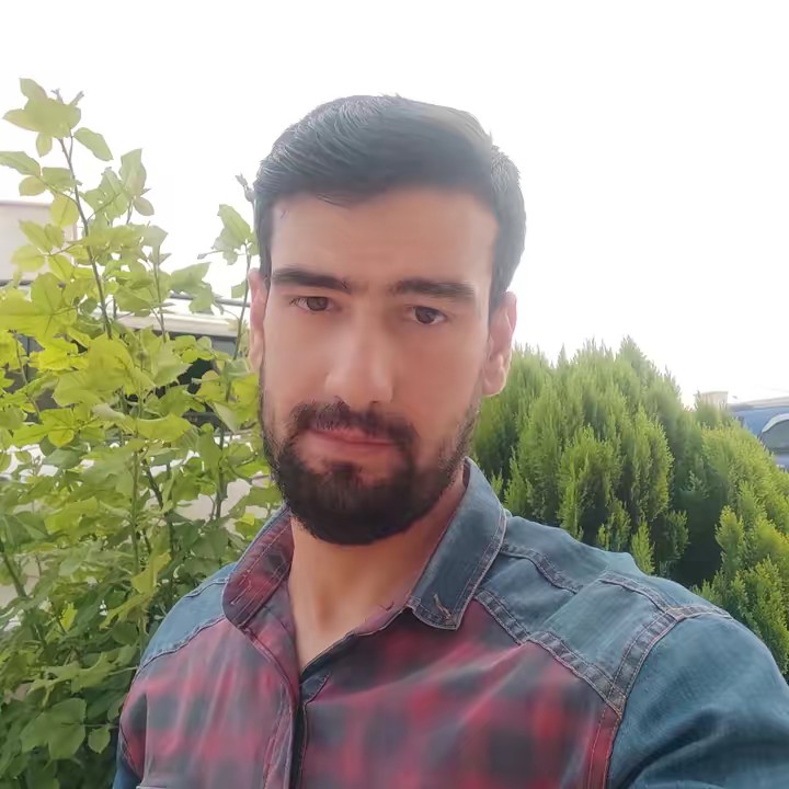 محمود حسين حمروش